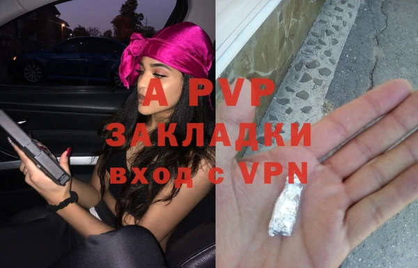 мяу мяу мука Лабытнанги